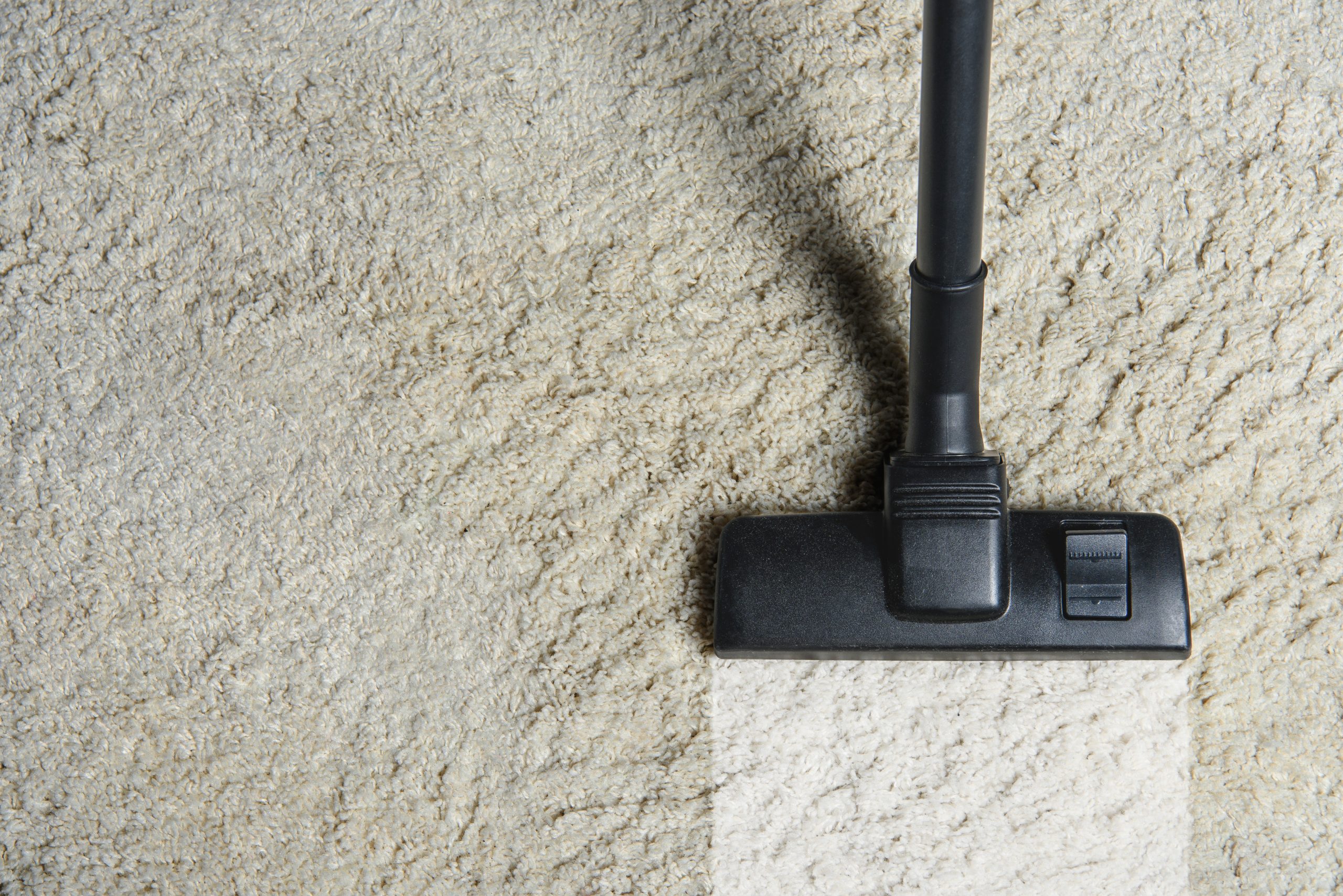 Carpet Cleaning Service Servicemaster Of Athens